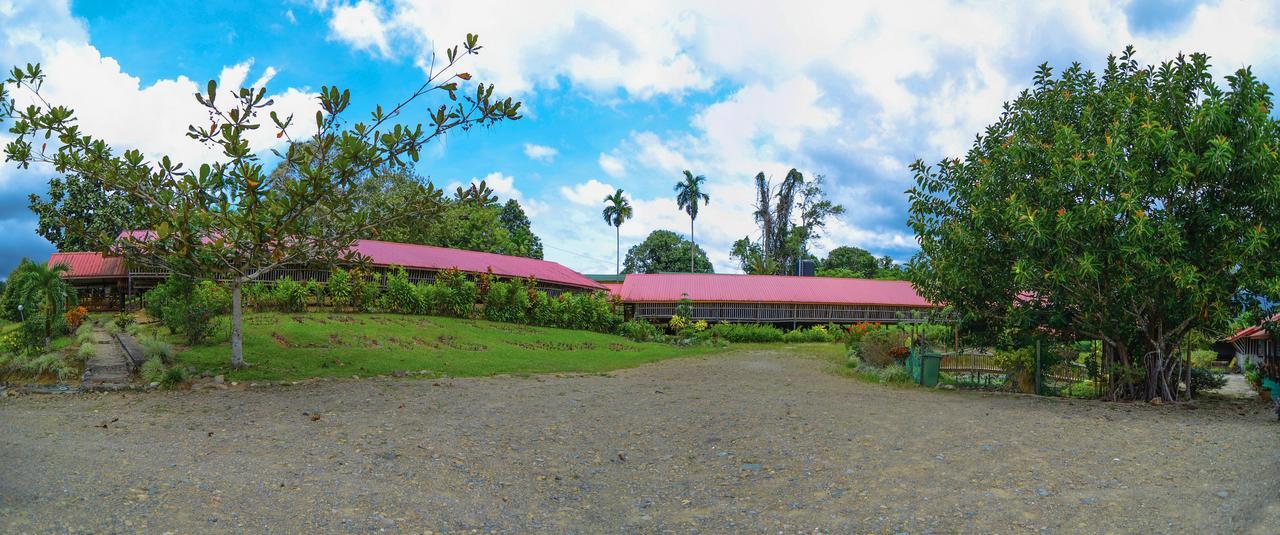 Sabah Tea Garden-Longhouses Ранау Екстериор снимка