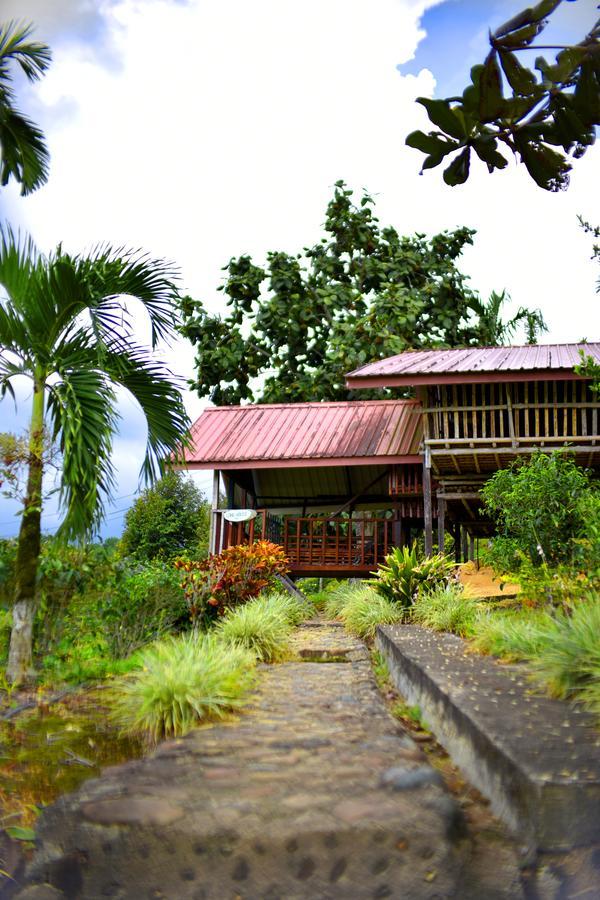 Sabah Tea Garden-Longhouses Ранау Екстериор снимка